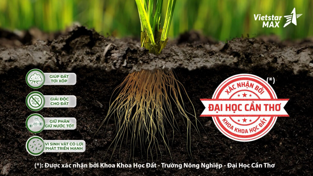 su ket hop tvc phan bon hop tri super humic vietstarmax